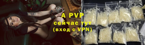 дмт Лабытнанги